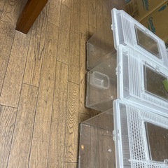 プラケースの画像