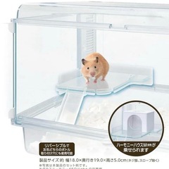 ハムスター🐹ハーモニーステージ➕おまけの画像