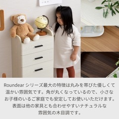 【受付終了】カウンター下　スリムチェストの画像