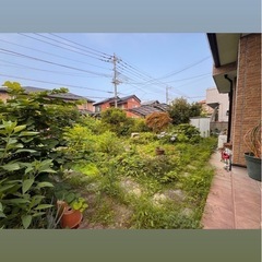 お庭のお手入れ