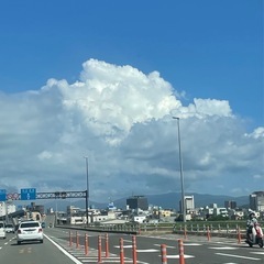 夏⛅️ウォーキング🪼✨
