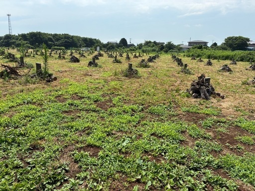 NO76　薪 梨の玉切り 軽トラ350kg3500円　引取り限定(福島市)