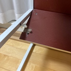 テーブルの画像