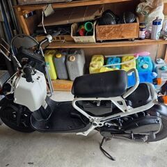 ズーマー50ccの画像