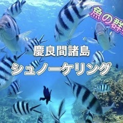 【全国募集】7月下旬〜8月上旬・慶良間諸島へ！