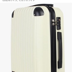 【取引先決定】キャリーバッグの画像