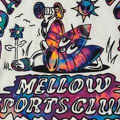 adidas Tシャツの画像