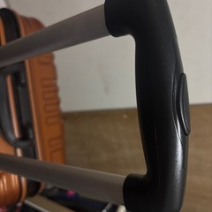 キャリーバッグの画像
