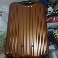 キャリーバッグの画像