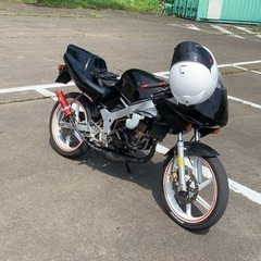 宮城県のNS-1の中古が安い！激安で譲ります・無料であげます