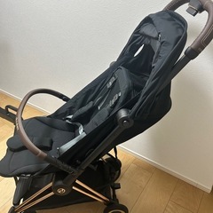 メリオカーボンの中古が安い！激安で譲ります・無料であげます