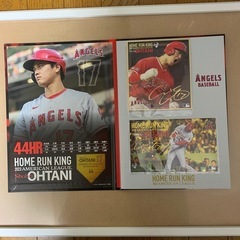 大谷翔平
の画像