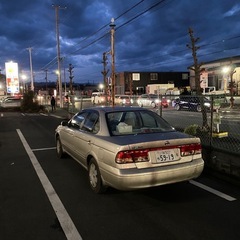 fb15 サニーの画像