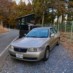 fb15 サニー