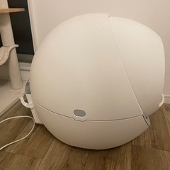猫自動トイレの画像