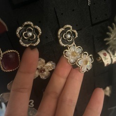 ピアスの画像