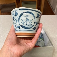 未使用品 西海陶器　染錦古窯　湯呑み5客セットの画像