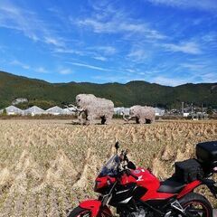 ツーリング仲間募集いたします。愛媛のライダー🏍³₃です…