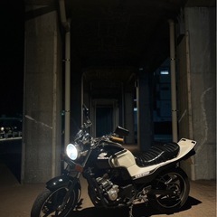 ジェイド250 jade250 cbx仕様の画像