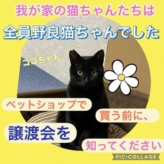 まったり長くお付き合いしてくださるかた✨いませんか？