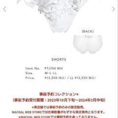 定価7万円越え Salute サルート ワコール 新品タグ付き フルセット 激レア限定完売品  下着 レディース ブラショーツ ガーターベルトの画像