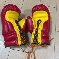 WINDY ウィンディ ボクシング トレーニンググローブ 10oz 赤の画像