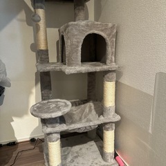 【ほぼ新品】猫用品1式の画像