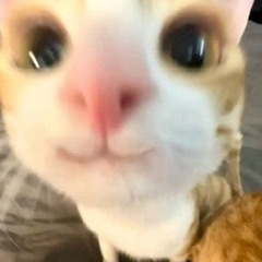 レンタル無職🐮🖐️なんかできる範囲で手伝います‼️‼️