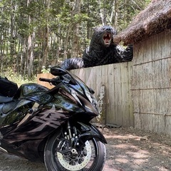 gsx1300r 隼