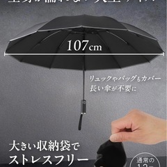 折りたたみ傘 大きめの画像