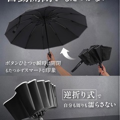 折りたたみ傘 大きめの画像
