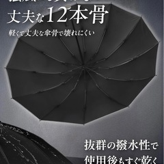 折りたたみ傘 大きめの画像