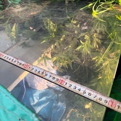 鉄製の棚　収納　灯油置き　物置の画像