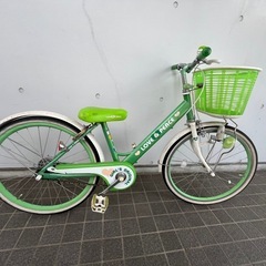 自転車 20インチ 小径 サカモトテクノ ロングモンタナ (たまや
