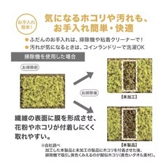 【美品】ほこりが取れやすい洗えるラグ&低反発パットの画像