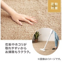 【美品】ほこりが取れやすい洗えるラグ&低反発パットの画像