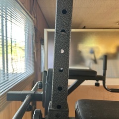 BER WING ぶら下がり健康器【値下げしました
】の画像