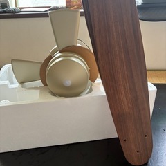 ASN-010S シーリングファン 