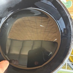 幹之メダカ　15匹500円の画像