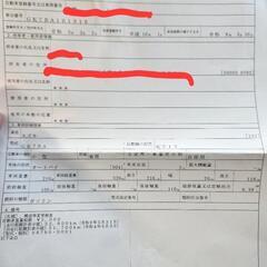 イナズマ400の画像
