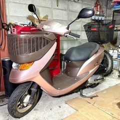 ☆安心の点検整備.動画☆ホンダ ディオチェスタ AF62☆超低走行な良質個体！前後バスケット付きで普段使いに大変便利です！の画像