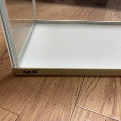 GEX45センチ水槽🐠の画像