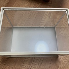 GEX45センチ水槽🐠の画像