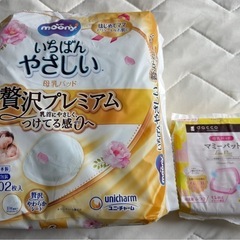 新生児用オムツ2パック未開封＋母乳パッドの画像