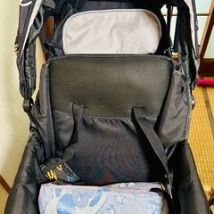 【更新あり】2人乗りベビーカーの画像