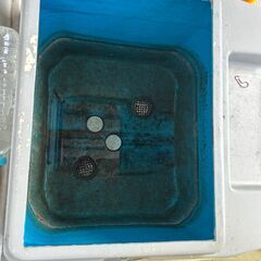 船外機　スズキ　90馬力　釣り船　ボートの画像