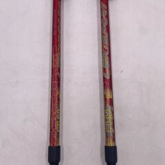 【現状品(詳細有)】Windalp/ウィンドアルプ トレッキングポール 2本 登山 山登り アウトドア 1セット 袋付きの画像
