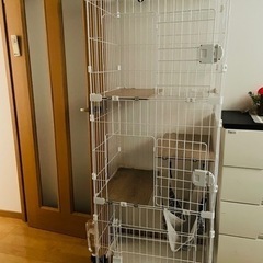 猫 ケージの画像