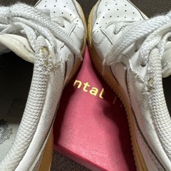 NIKE 23.5の画像