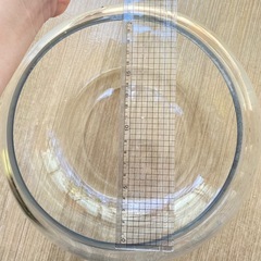 ガラス 丸型水槽 金魚鉢 ボウルの画像
